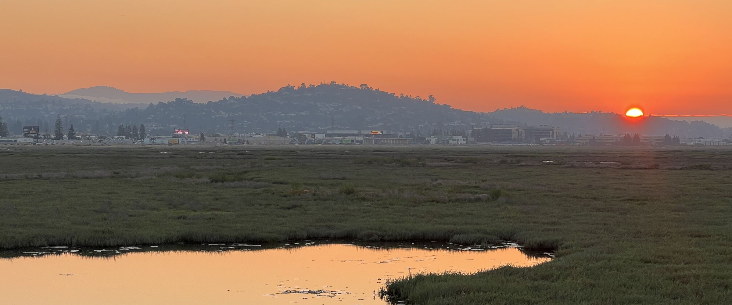 Restored salt marsh at sunset on Bair Island, Don Edwards San Francisco Bay National Wildlife Refuge