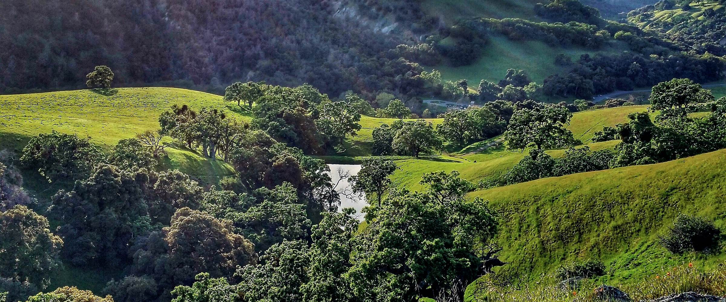 Green hills along the Canyon View Trail, Sunol Regional Wilderness