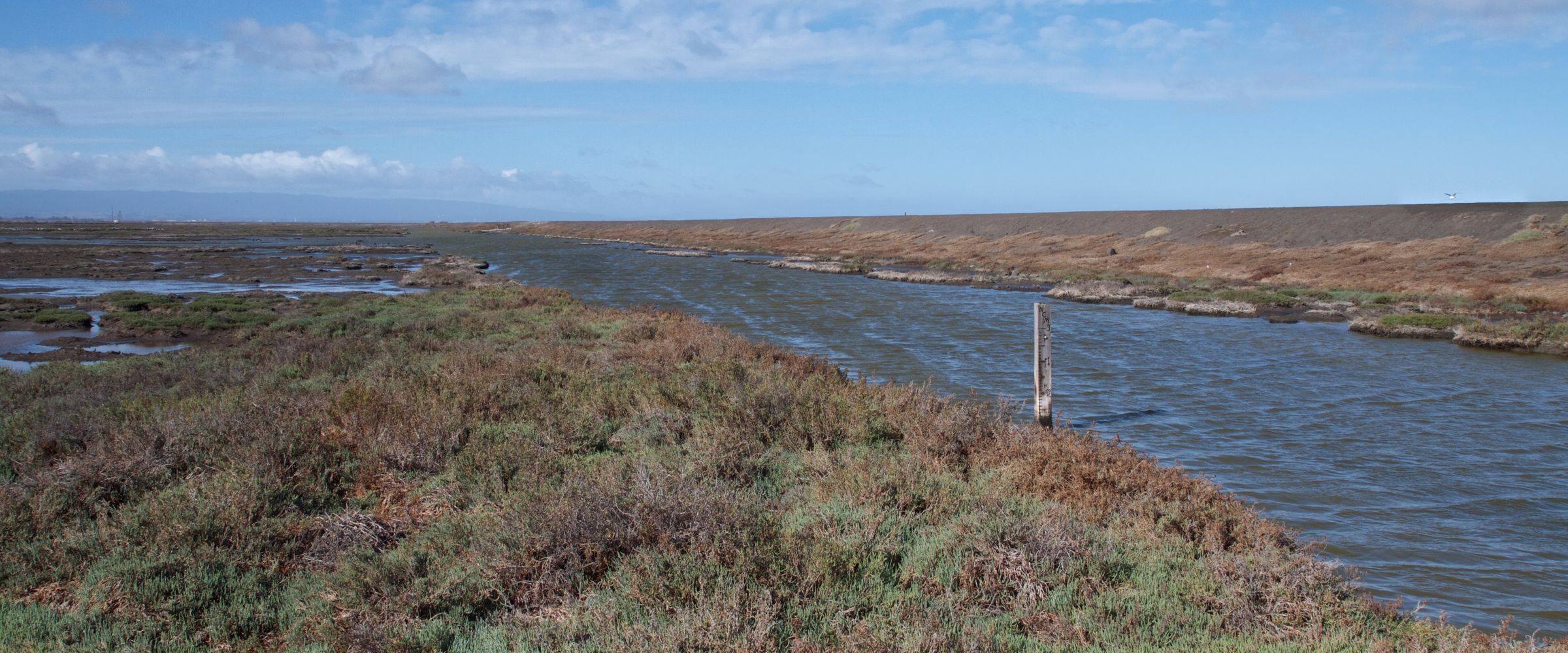 Tidal slough and marsh on a windy day, Don Edwards San Francisco Bay National Wildlife Refuge