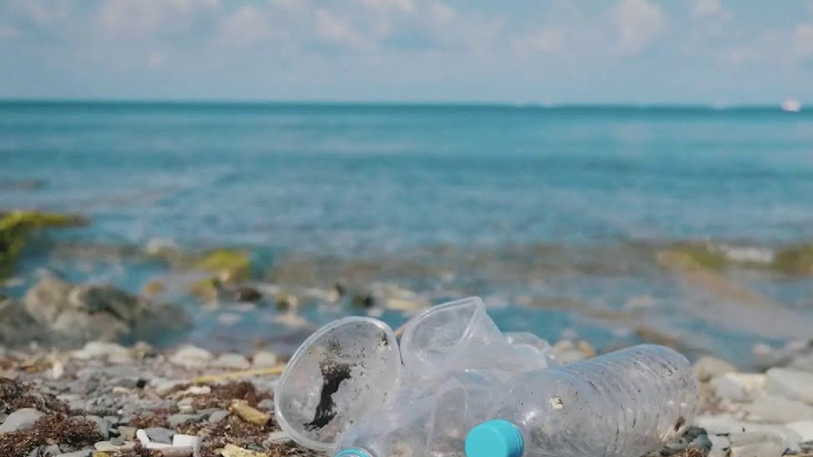 Plastic bottles and cups washed up on a rocky beach (still from the KSAT 12 segment)